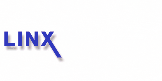 LINX, Supraveghere Video IA, Brasov